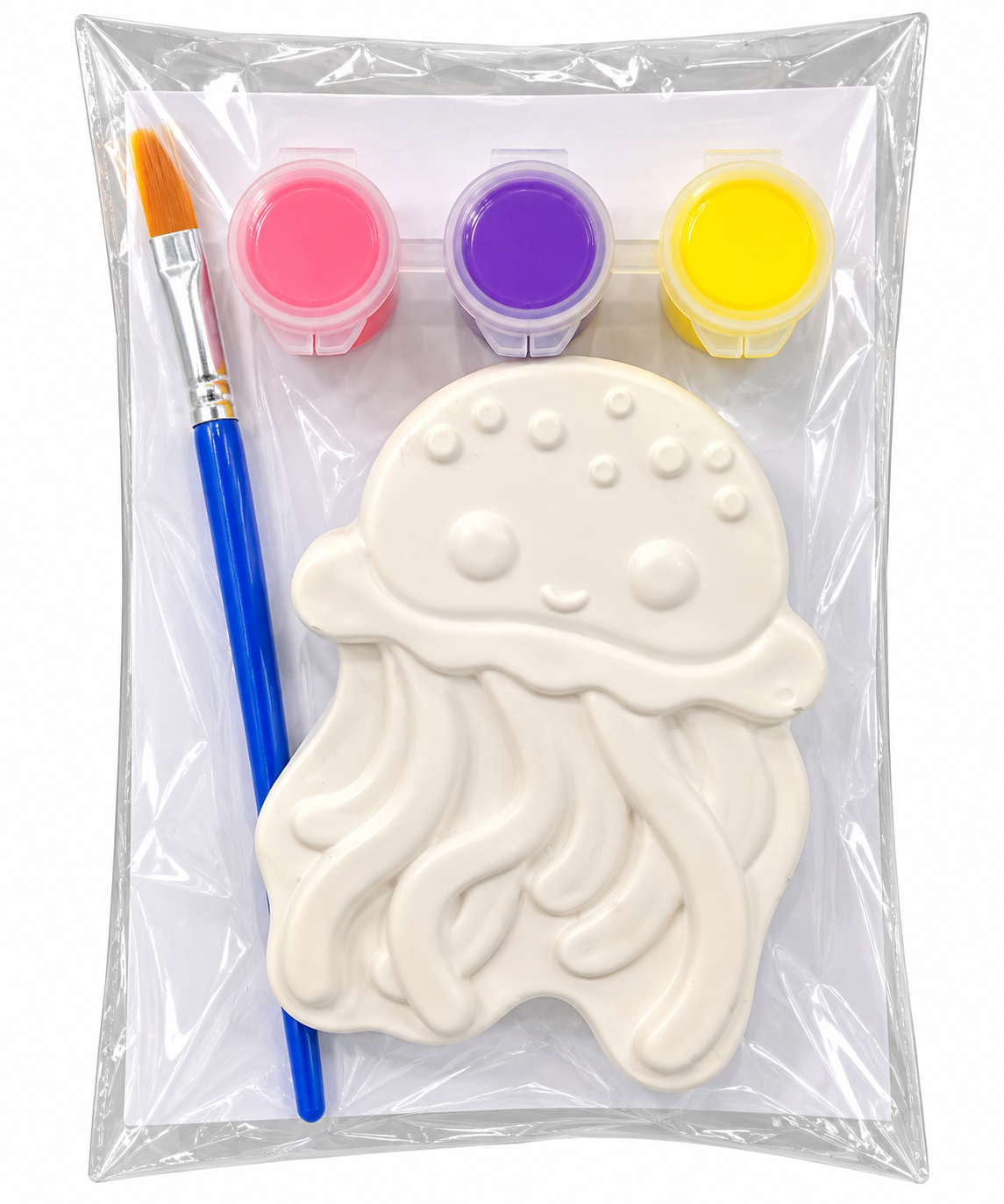 Plaster of Paris Paint Kit – Jelly Fish