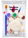 Plaster of Paris Paint Kit – Turtle